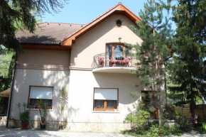 Vicze Apartmanház, Siofok